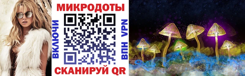 Псилоцибиновые грибы прущие грибы Заозёрск